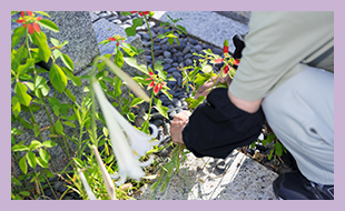 除草作業・防草工事 